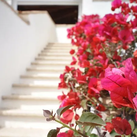 Casa de Férias Capannizza Complex *